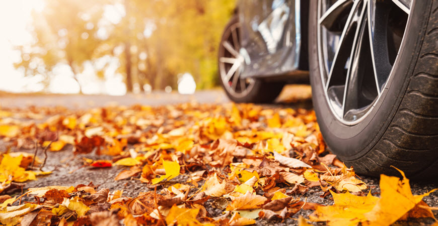 How to Care for Your Bentley During Fall in Las Vegas